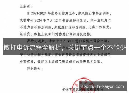散打申诉流程全解析，关键节点一个不能少